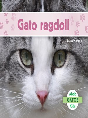 cover image of Gato ragdoll (Ragdoll Cats) (Spanish Version)